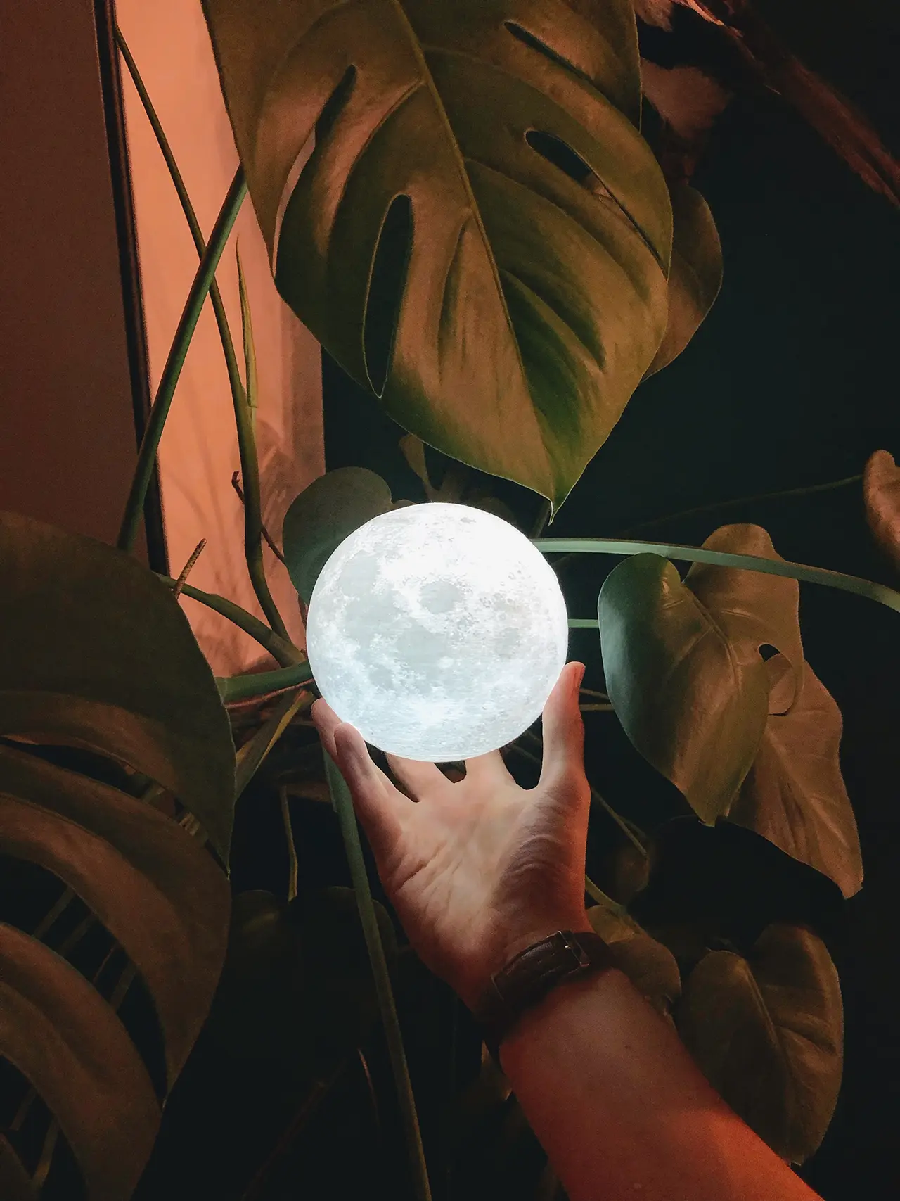 moonglow