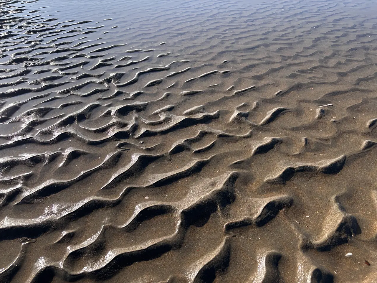 sandripples