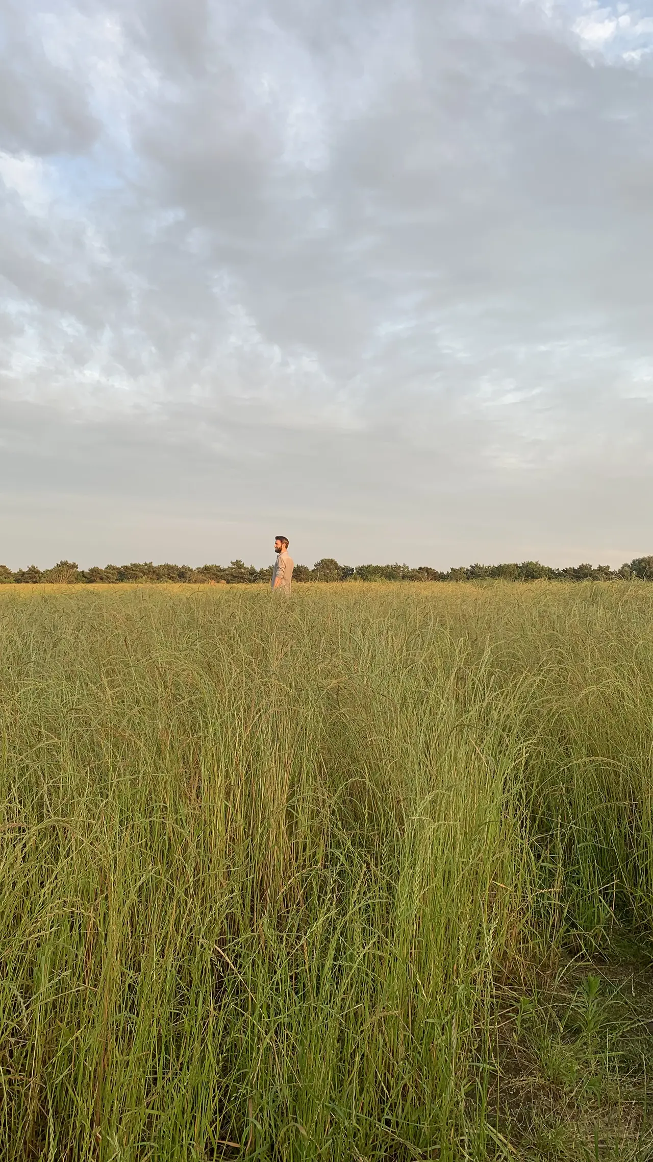veld